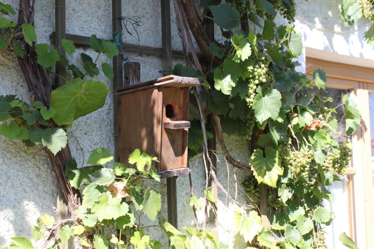 Traunwalchen Ferienhaus Eller מראה חיצוני תמונה